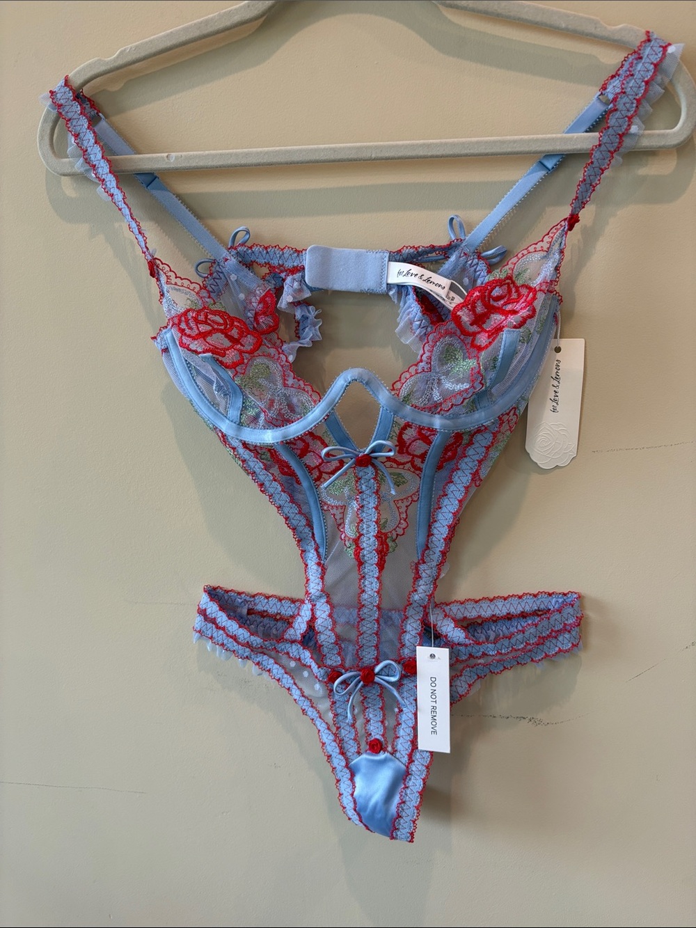 For Love And Lemons Sky Blue and Red Lace Sheer Teddy